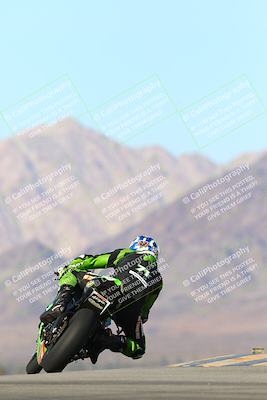 media/Jan-13-2024-SoCal Trackdays (Sat) [[9c032fe5aa]]/Turn 9 Backside (110pm)/